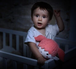 Miniland Einschlafhilfe Dreambuddy Fairy -Stilvolles Kinderspielzeug miniland einschlafhilfe dreambuddy fairy 2