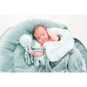 NATTOU Greifling Octopus Lapidou In Grün 2 NATTOU Greifling Octopus Lapidou In Grün – Bild 2