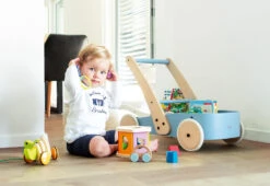 Pinolino Lauflernwagen 'Fiete' In Hellblau -Stilvolles Kinderspielzeug pinolino lauflernwagen fiete in hellblau 4